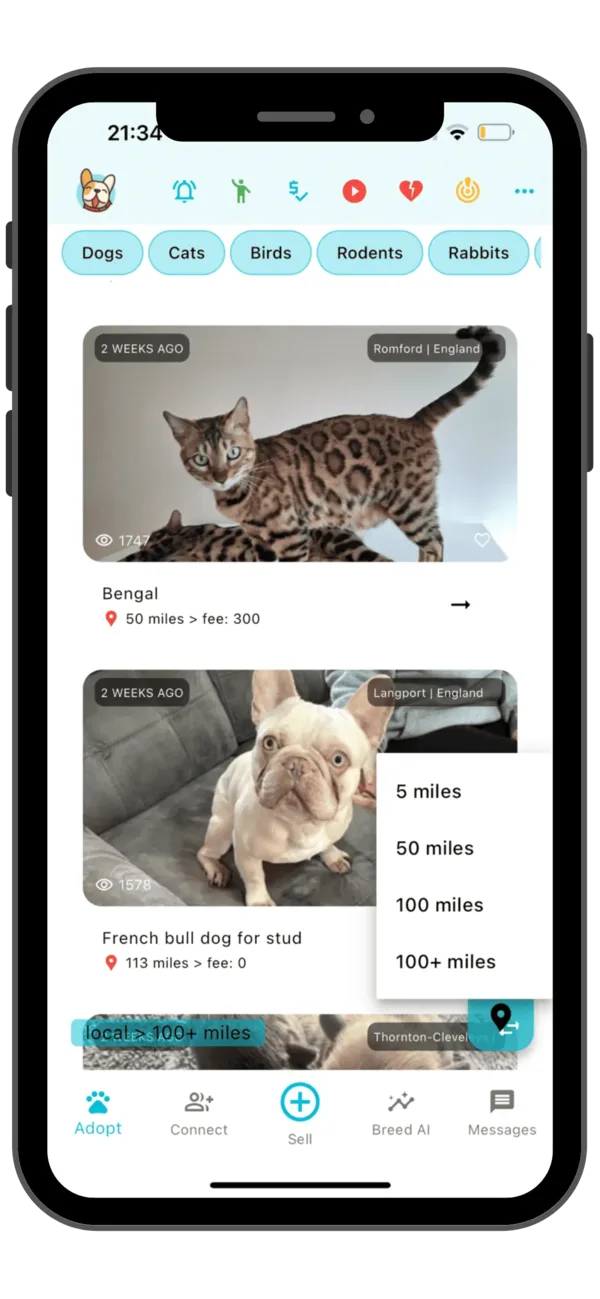 Pets Home app on a phone