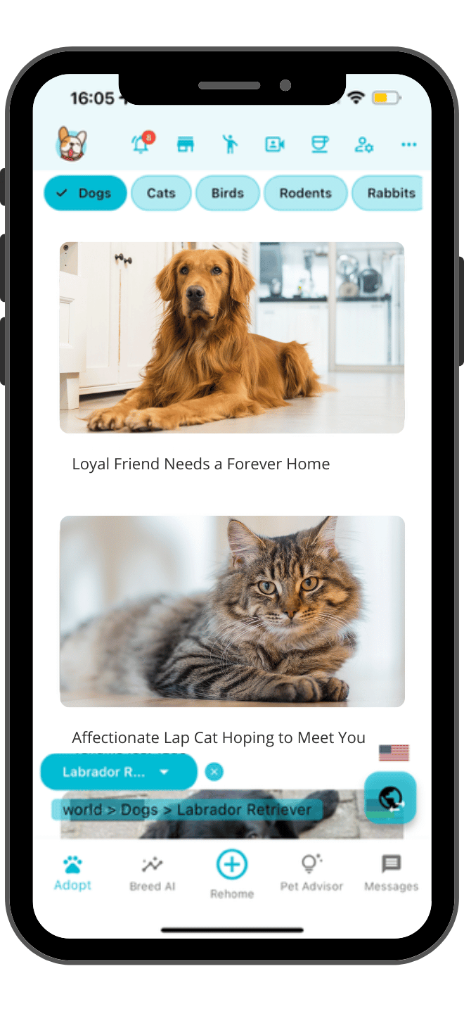 pet home online